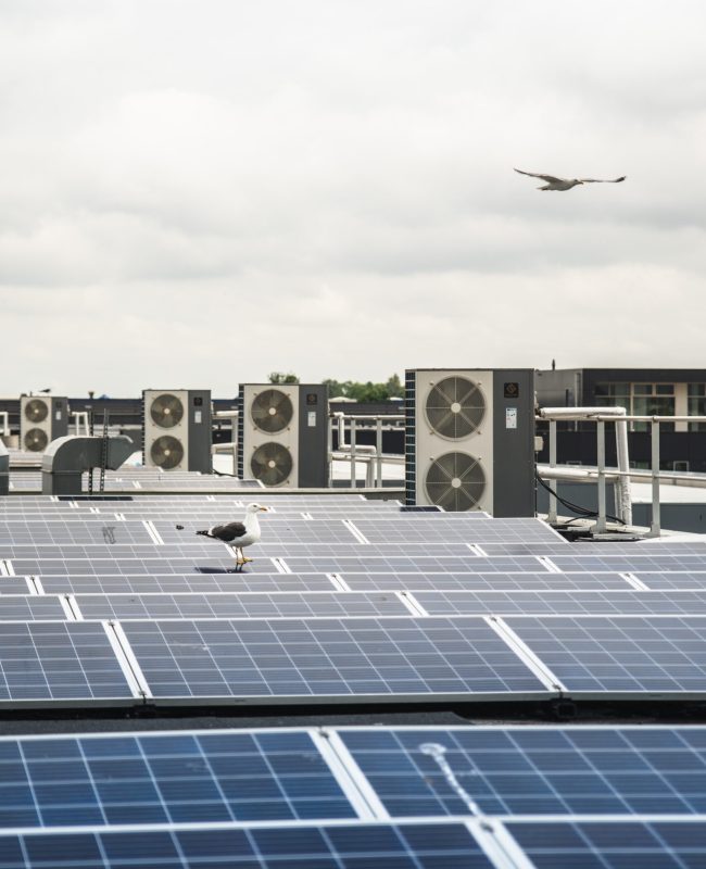 Zonnenpanelen-01-8